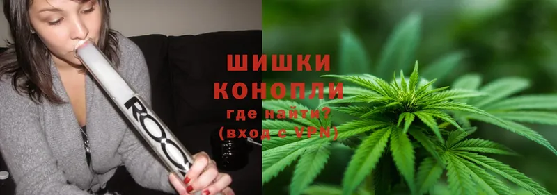 Марихуана THC 21%  Новошахтинск 